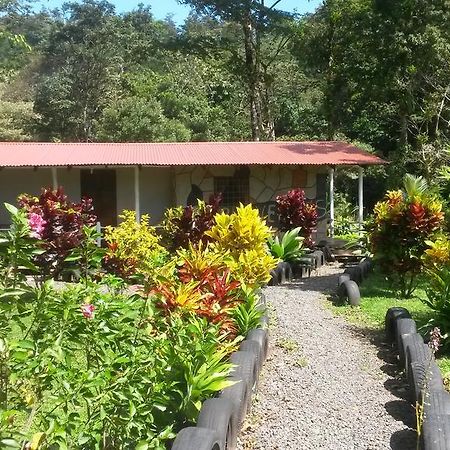 Nacientes Lodge Bijagua Bagian luar foto