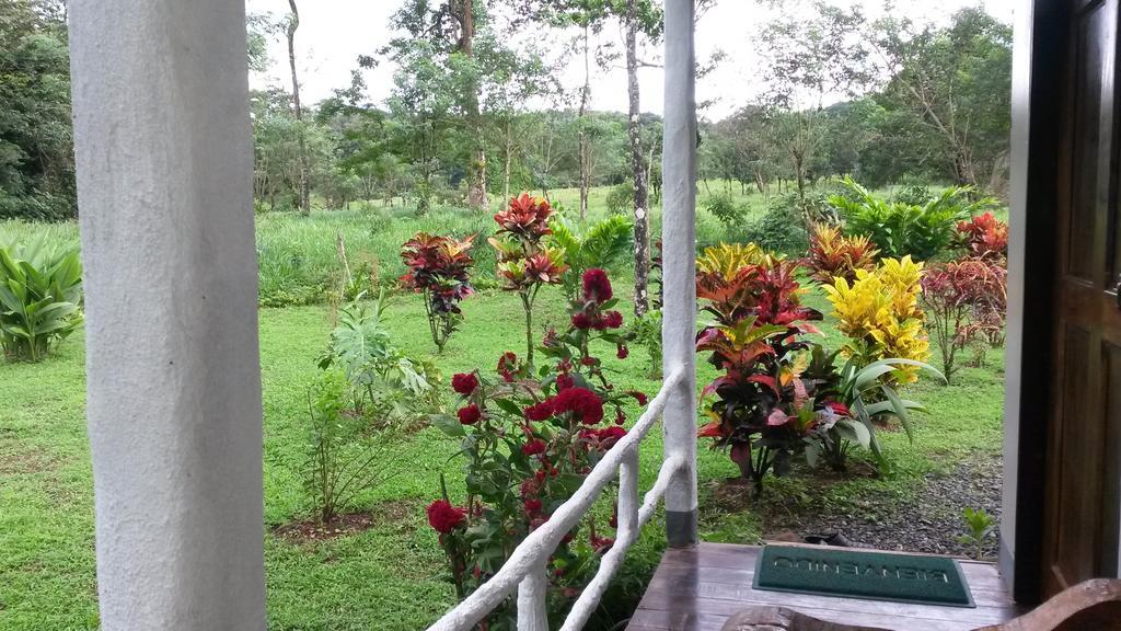 Nacientes Lodge Bijagua Bagian luar foto