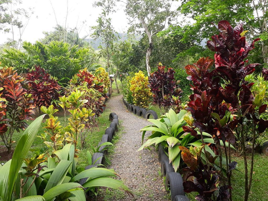 Nacientes Lodge Bijagua Bagian luar foto